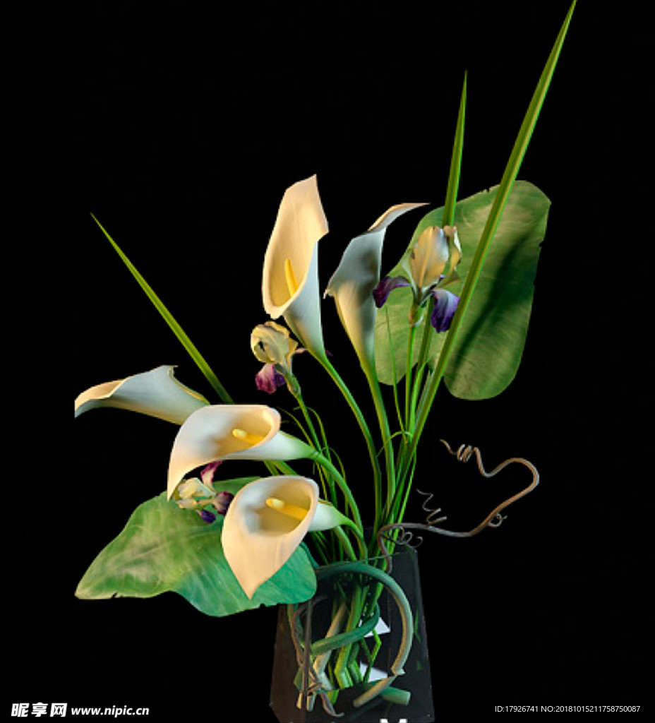 花卉3D模型