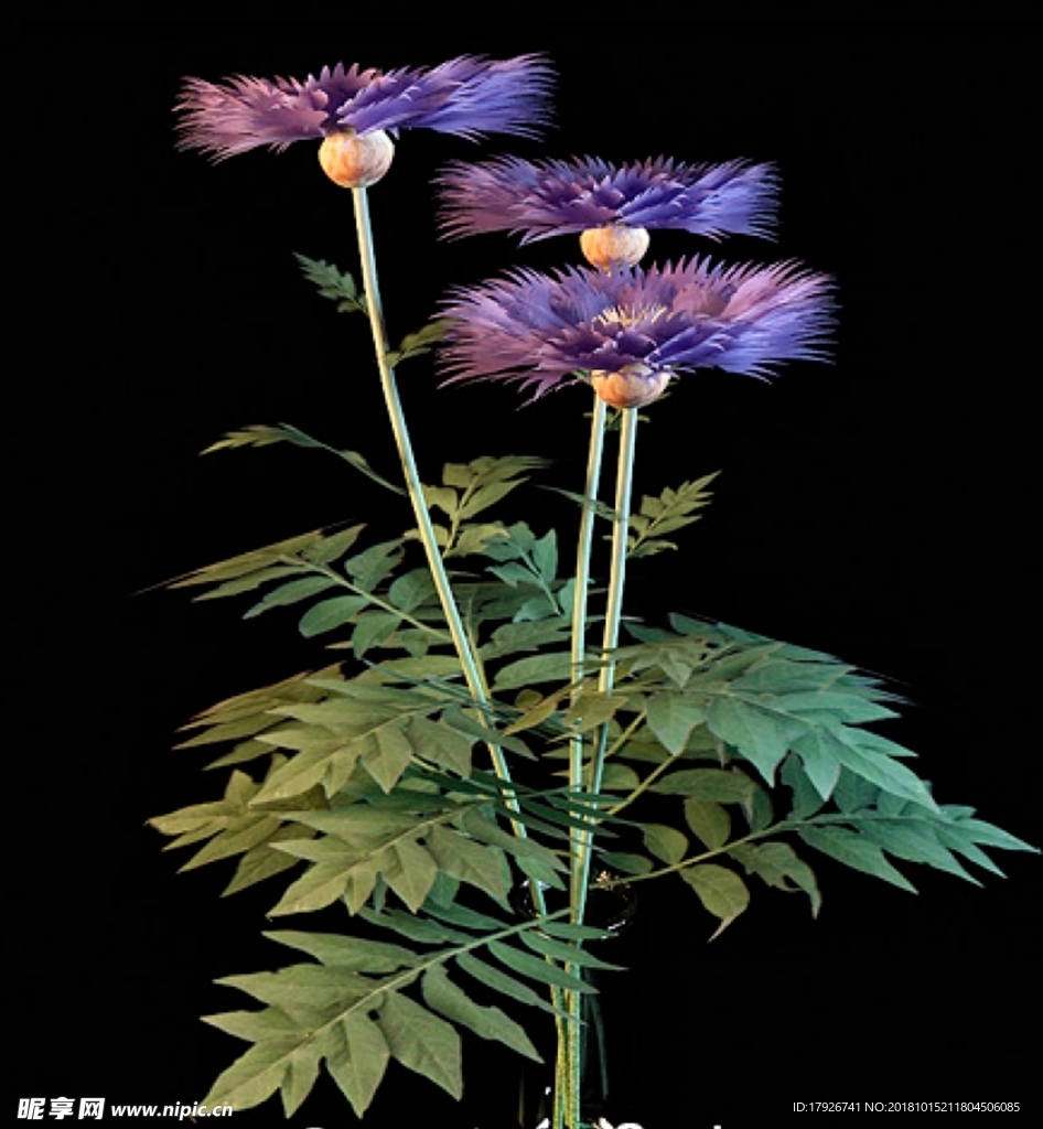花卉3D模型