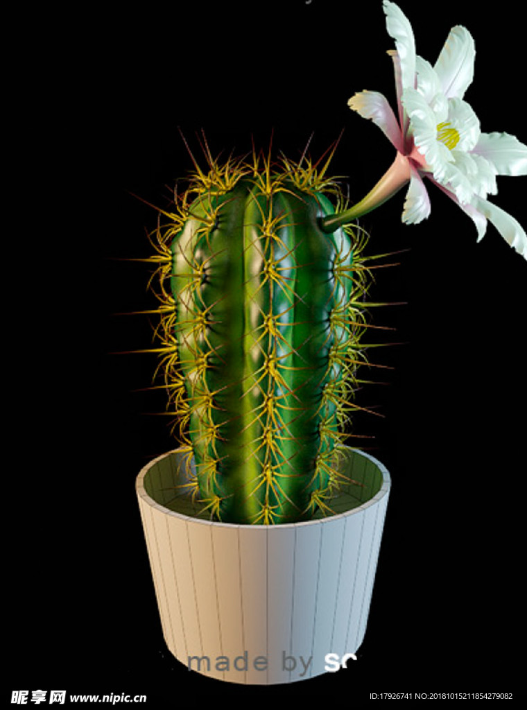 花卉3D模型