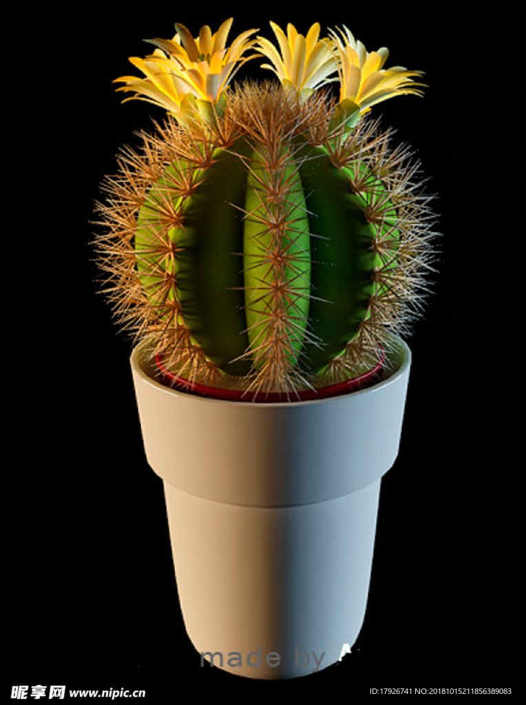 花卉3D模型