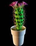 花卉3D模型