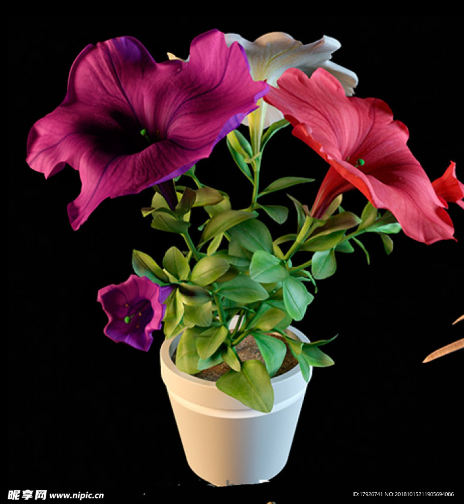 花卉3D模型