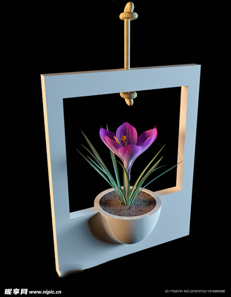 花卉3D模型