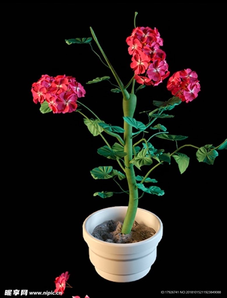 花卉3D模型