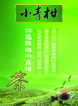 小青柑