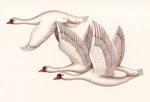 国画