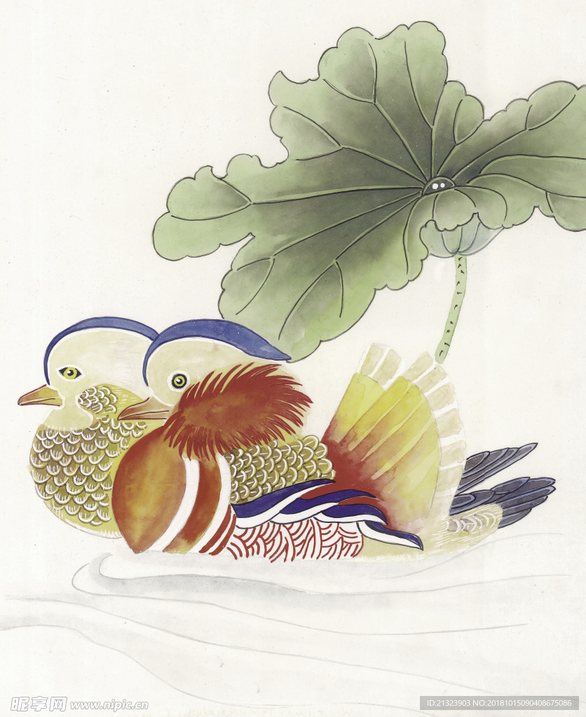 鸳鸯