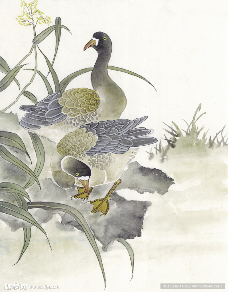 花鸟