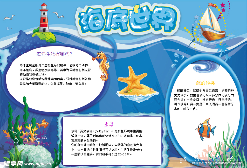 海洋小报