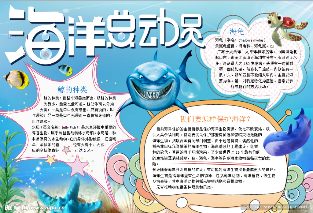 海洋小报