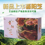 主图