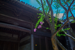 呈坎