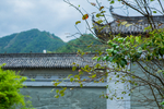 湖边古村落