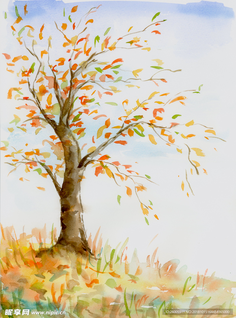 秋天树木装饰画