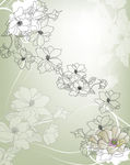 花纹