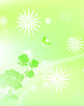 花纹