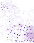 花纹