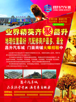 招商传单 正