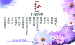 正面——张少制