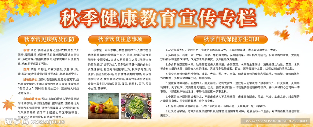 秋季健康宣传栏