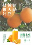 脐橙汁海报