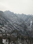 雪景