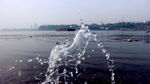 水花