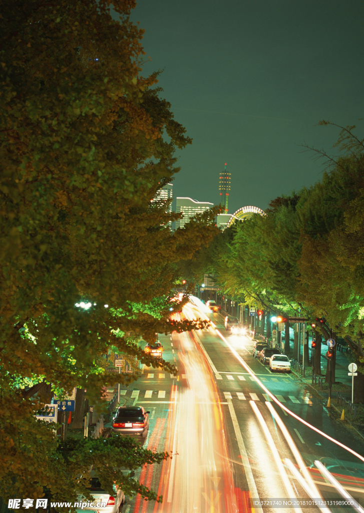 夜晚公路