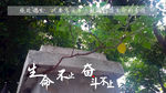 生命的奇迹