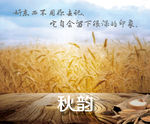 秋韵 励志