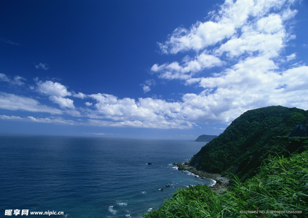 大海