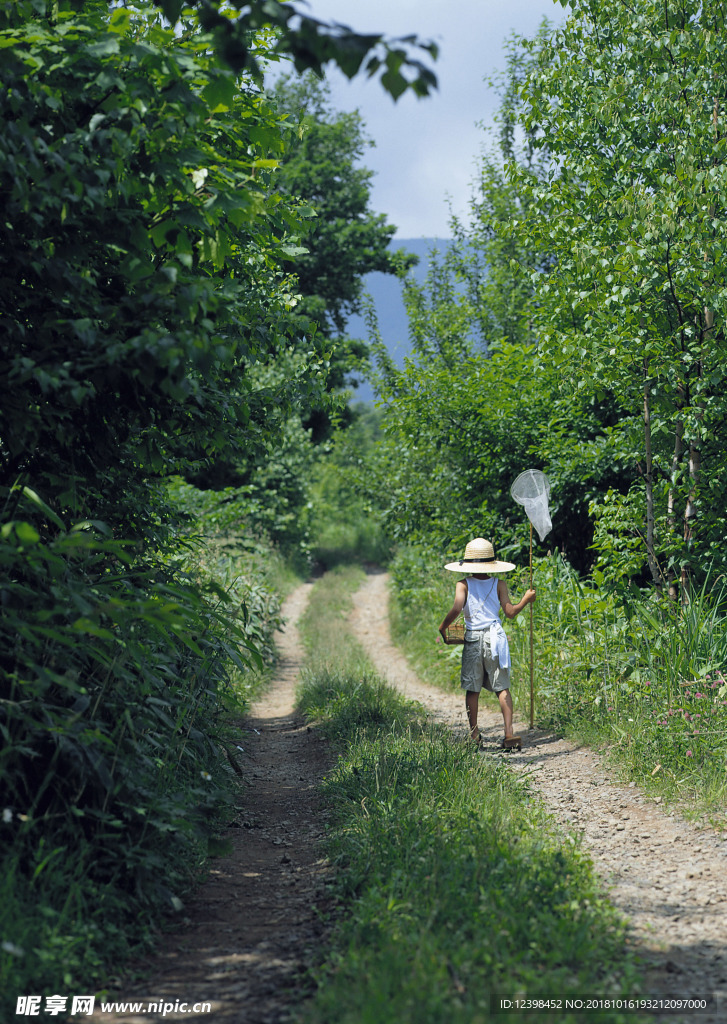 山涧小道