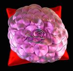 创意靠垫3D模型