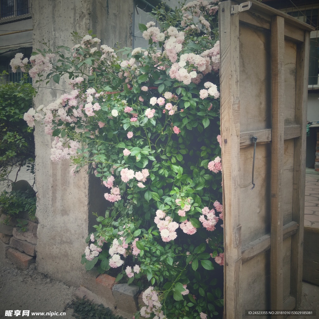花