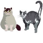 矢量猫
