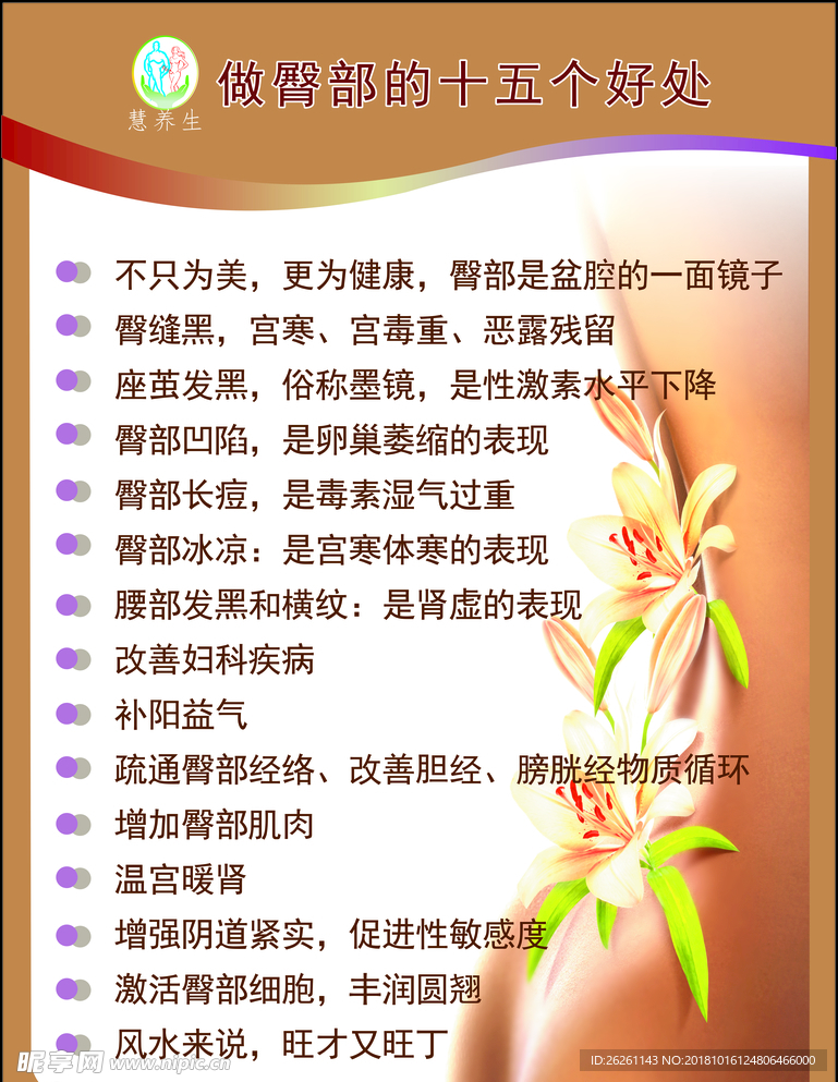 肾部保养