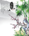 竹子 珍藏