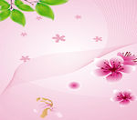 花纹