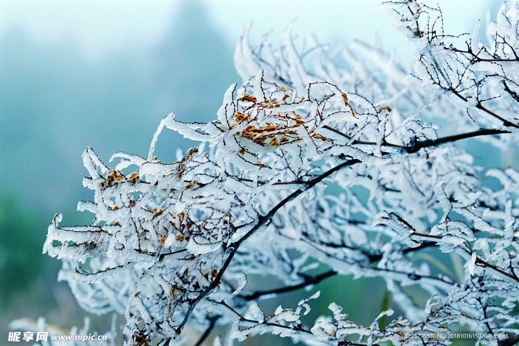 雪