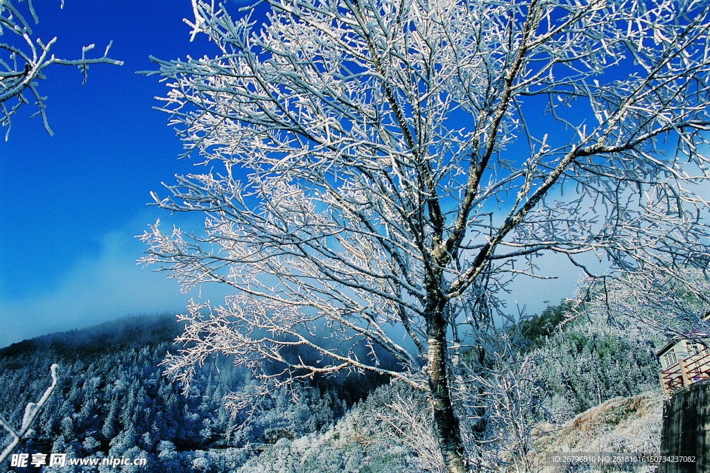 雪景