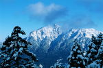 雪景
