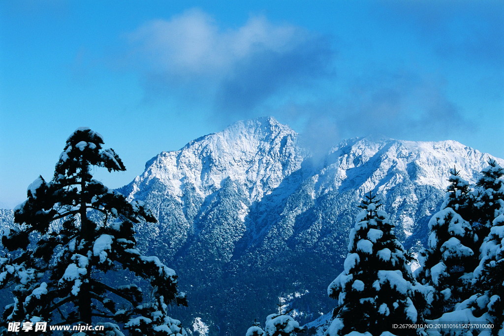 雪景