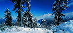 雪景