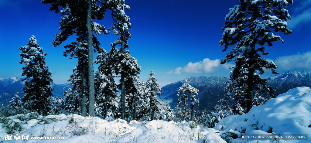 雪景