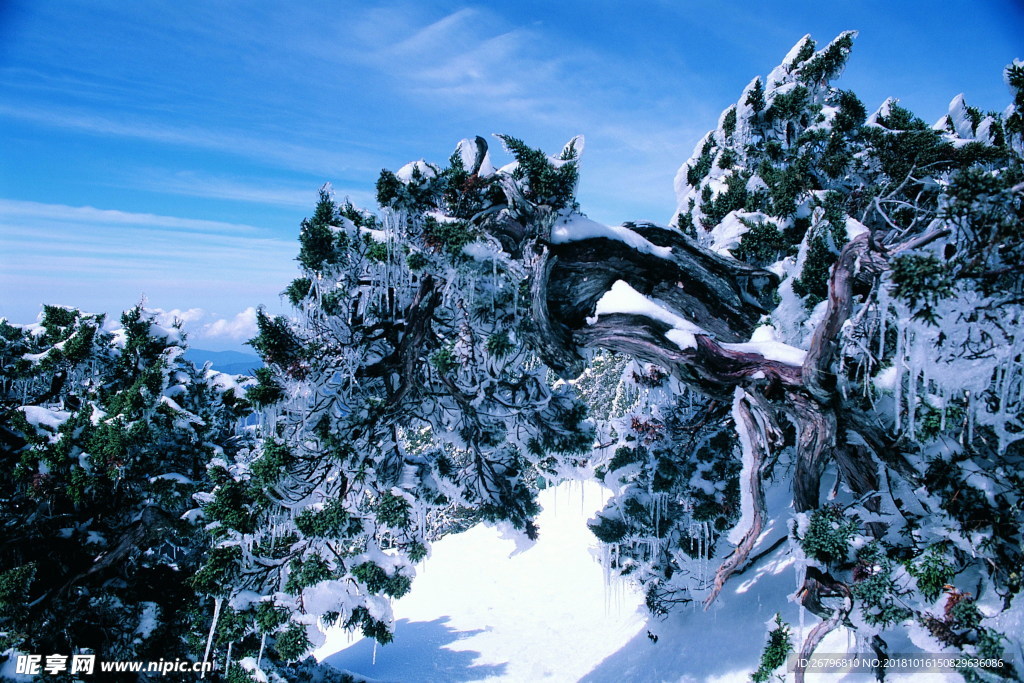 雪景