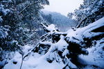 雪景