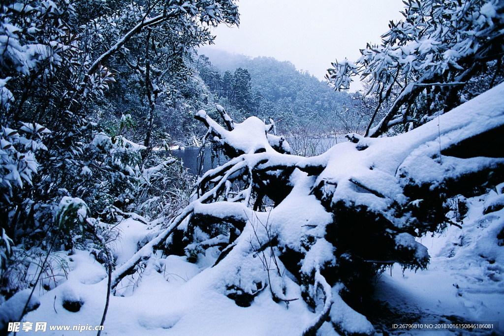 雪景