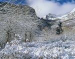 雪景