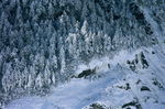 雪景