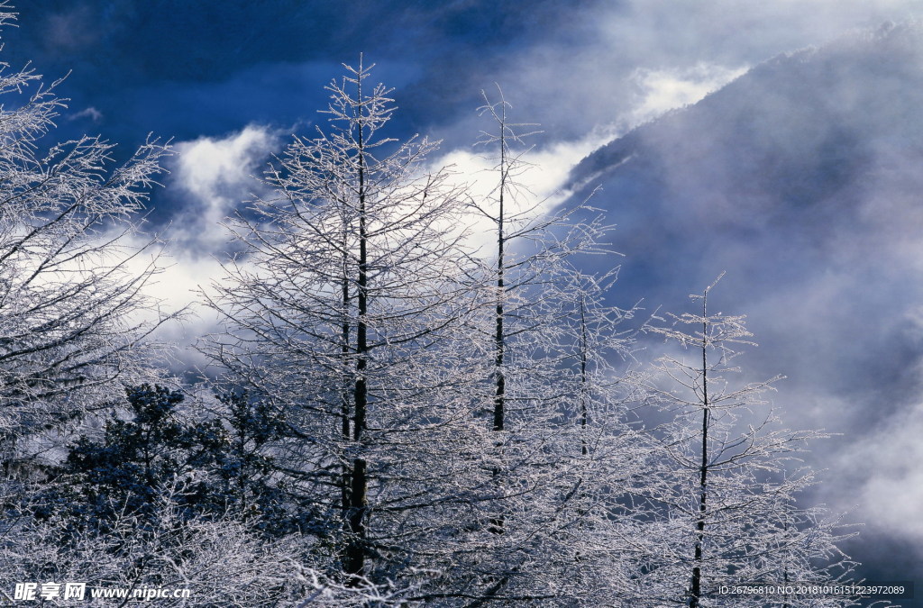 雪景